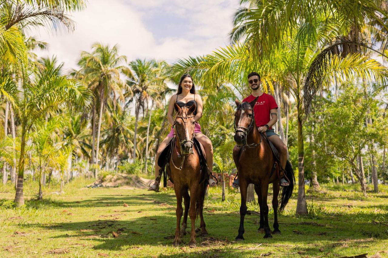 Eco Pousada Paraíso dos Coqueirais Japaratinga Exterior foto