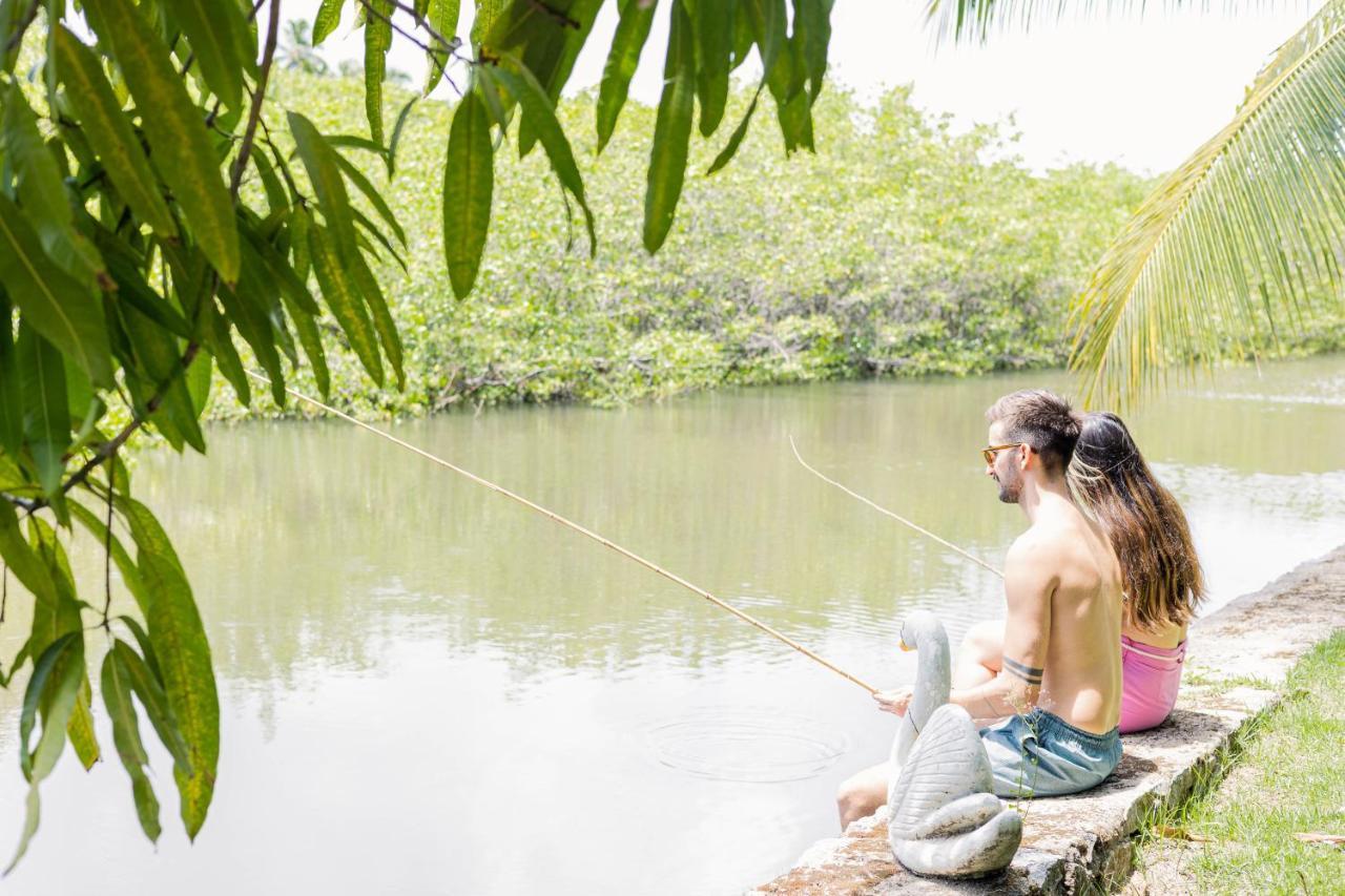 Eco Pousada Paraíso dos Coqueirais Japaratinga Exterior foto
