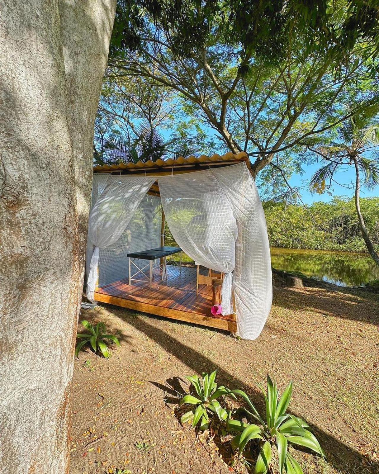 Eco Pousada Paraíso dos Coqueirais Japaratinga Exterior foto