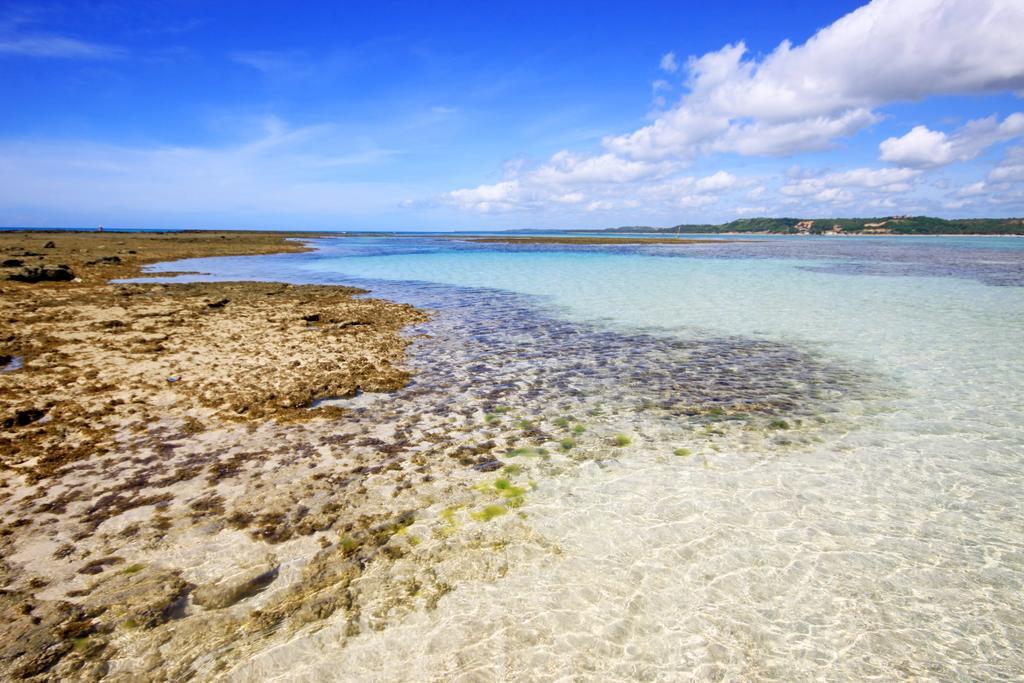 Eco Pousada Paraíso dos Coqueirais Japaratinga Exterior foto