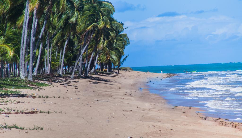 Eco Pousada Paraíso dos Coqueirais Japaratinga Exterior foto