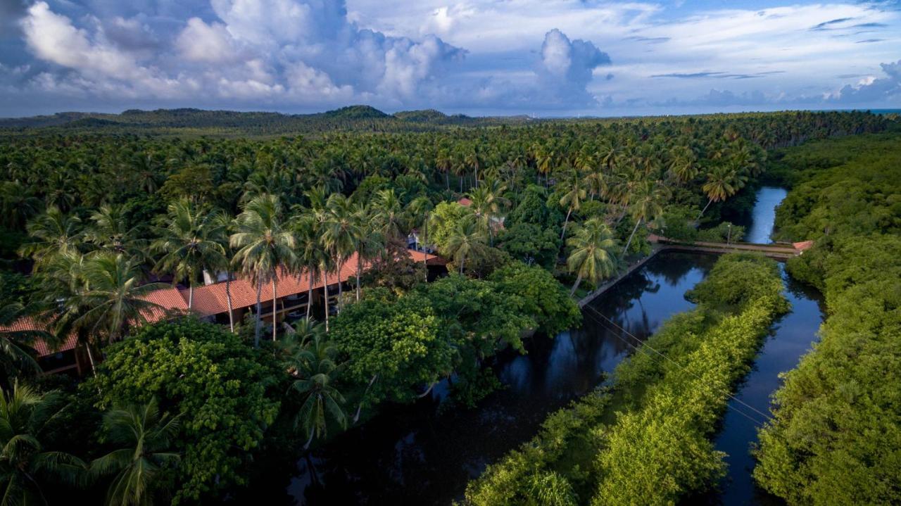 Eco Pousada Paraíso dos Coqueirais Japaratinga Exterior foto